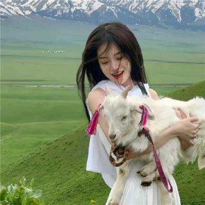 终极杀阵5