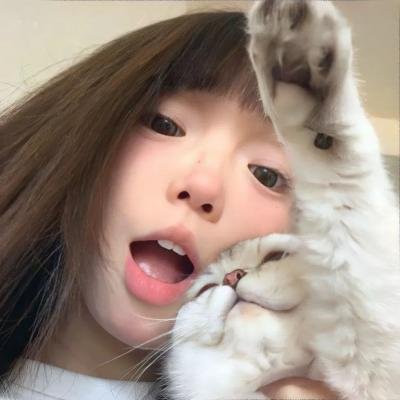 解构哈利
