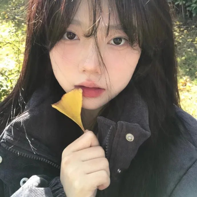蝙蝠侠与小丑女